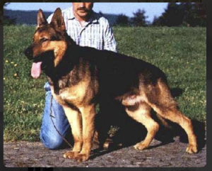 Lord vom Gleisdreieck