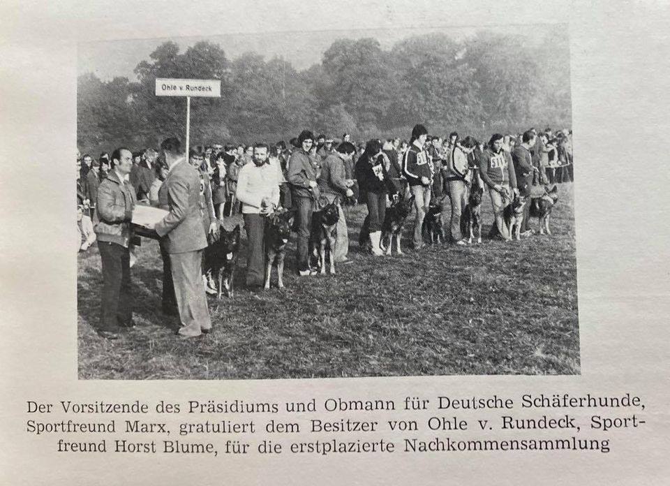 chairman-gerhard-marx-congratulates-bernd-gunther-for-bodo-v-grafental-as-best-sire-of-the-year.