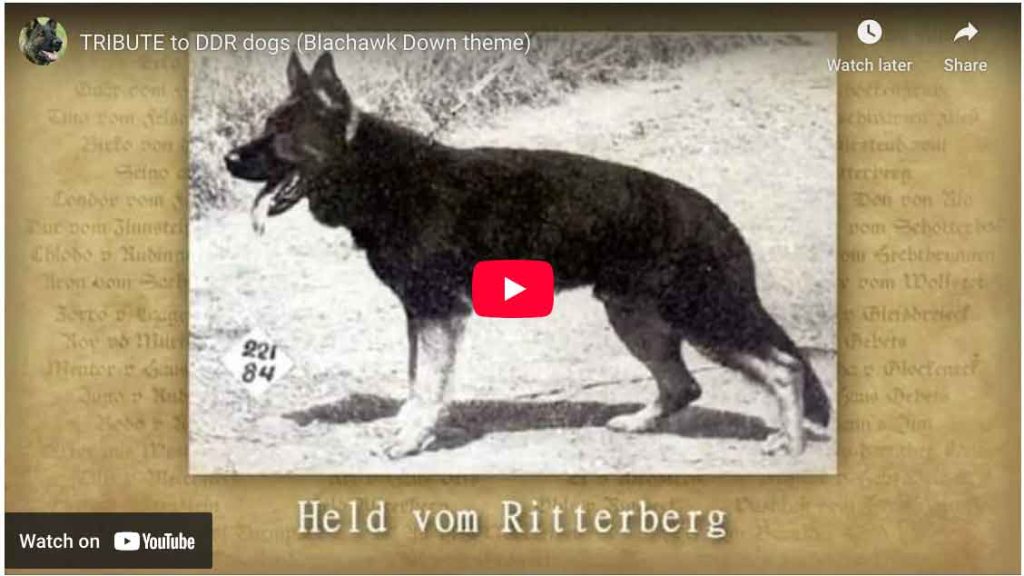 TRIBUTE to DDR Dogs