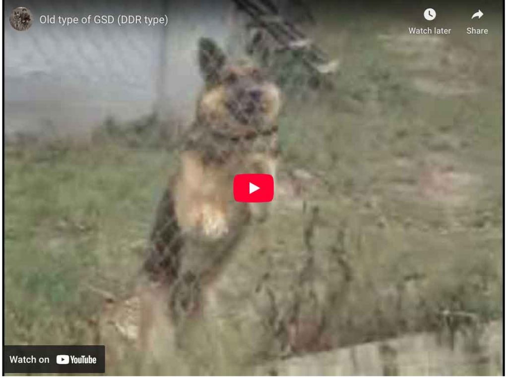 Old type of GSD (DDR type)