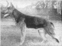 Kendi vom Baruther Land