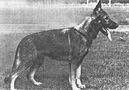 Anet vom Seeschlösschen