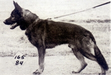 Hacky von der Sandtklause