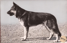 Vetter von der Heulage