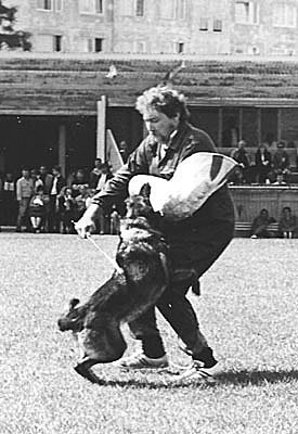 Blacky vom Gleisdreieck