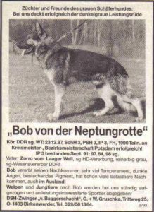 Bob von der Neptungrotte