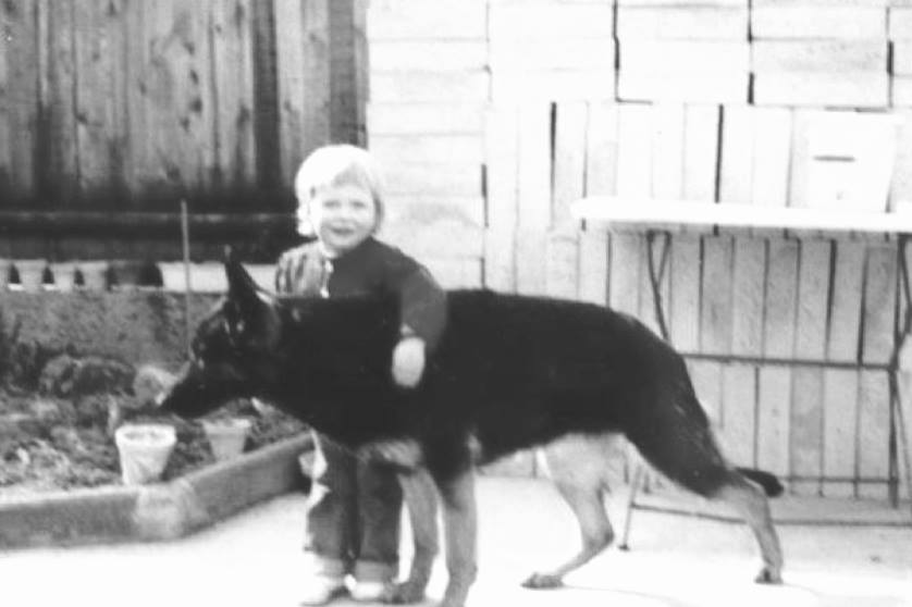 Censi vom Kastanienplatz