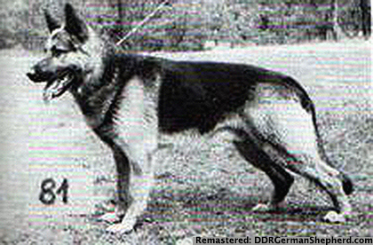 Chlodo von Rudingen