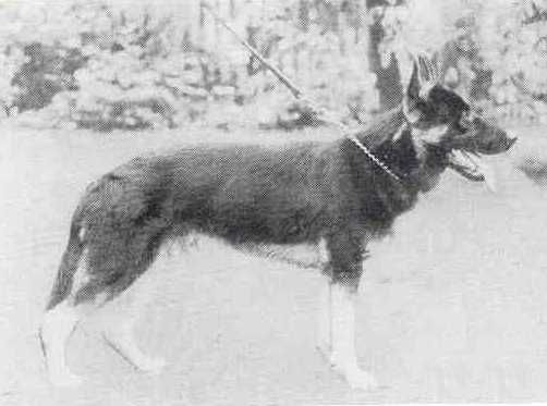 Erko von der Robertsburg