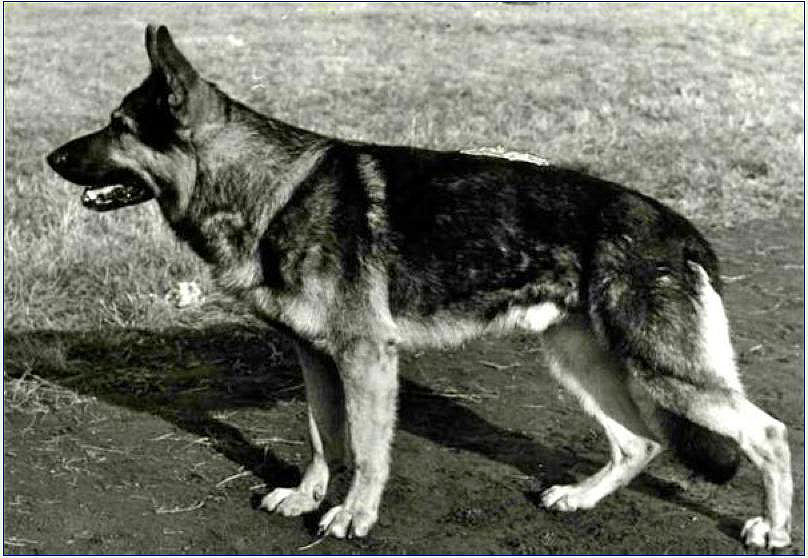 Fels vom Kemmlerblick