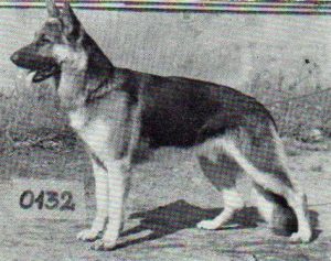 Ernst vom Auenschacht