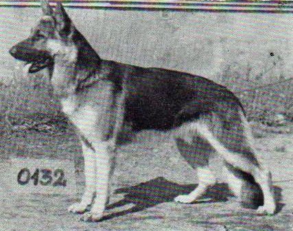 Ernst vom Auenschacht