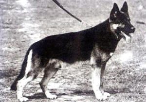 Frei vom Baruther Land