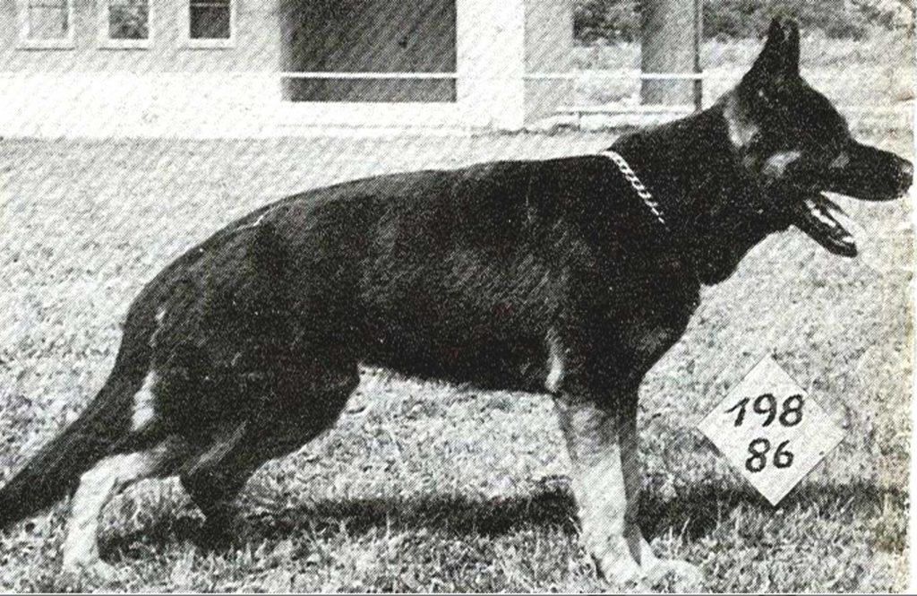 Ole vom Eichsfelder Land