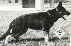 Ole vom Eichsfelder Land