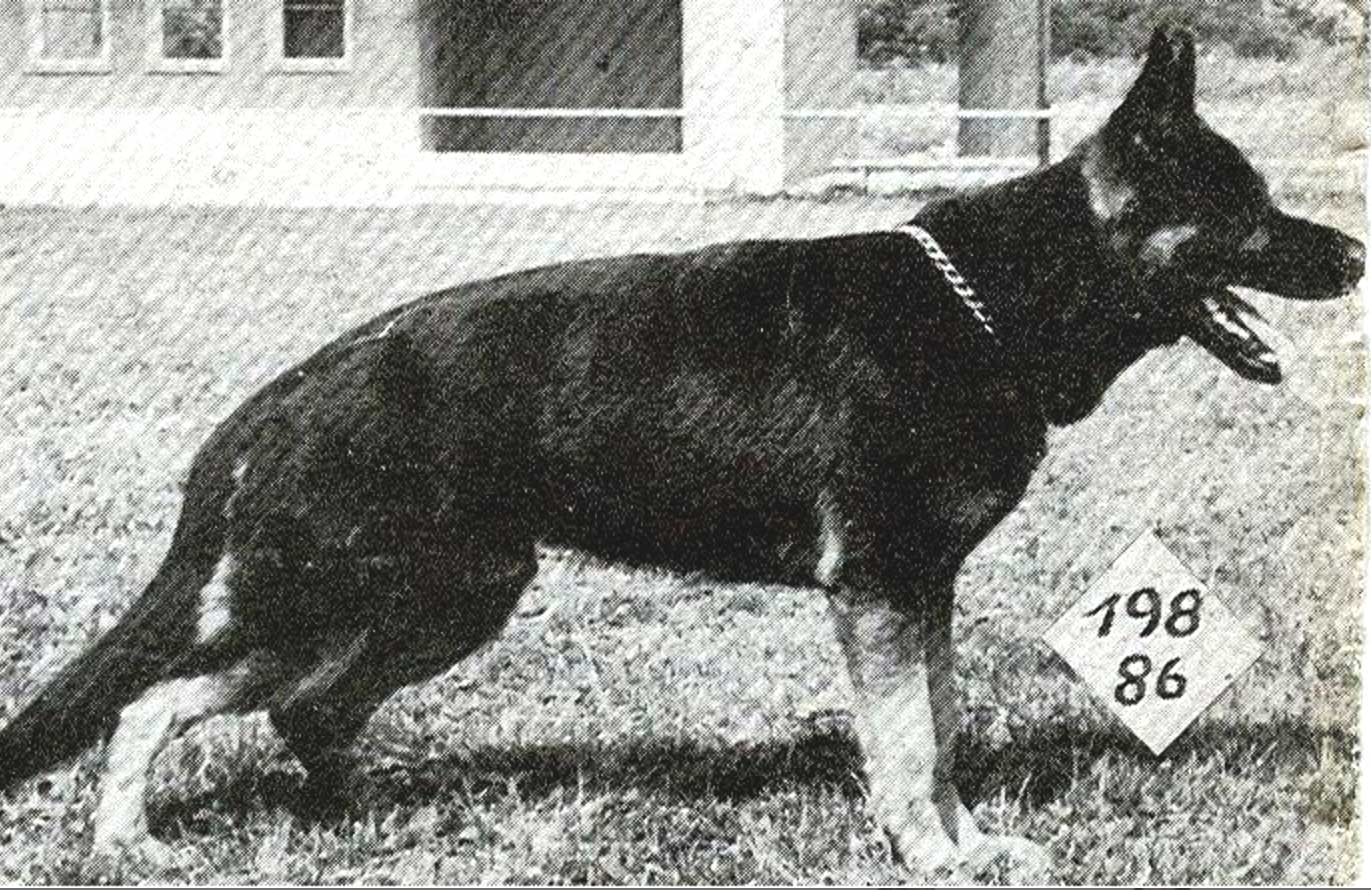 Ole vom Eichsfelder Land