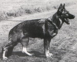 Undine von den zwei Steinen