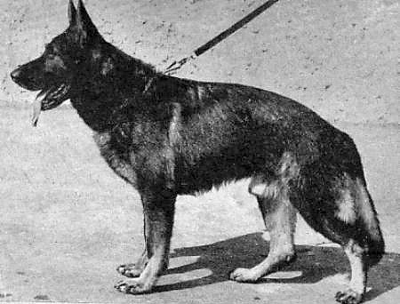 Berry von Christelas