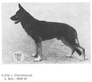 Ulk von Christiensruh