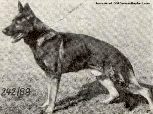 Bacchus vom Grauberg