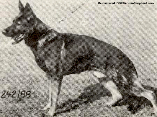 Bacchus vom Grauberg