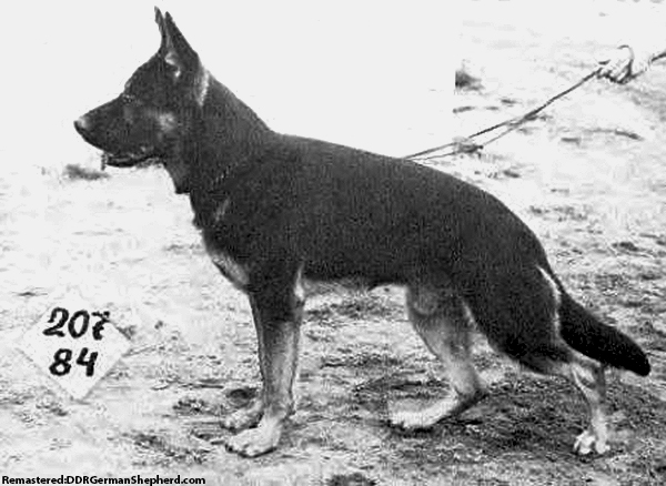 Lenn vom Baruther Land