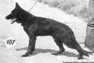 Golf vom Ritterberg