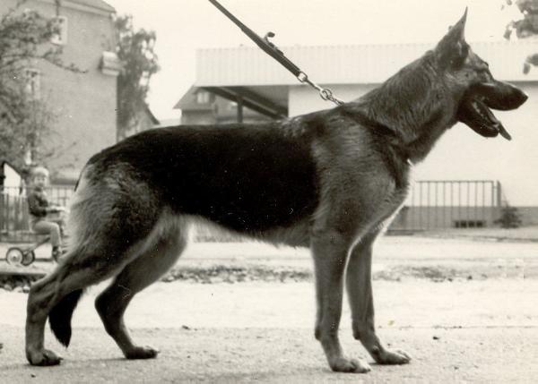 Zita vom Porphyrbruch