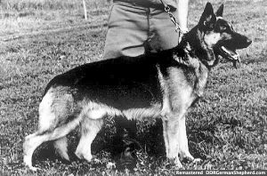 Henk vom Porphyrbruch