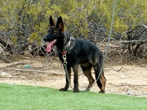 1022 0dfbb01f5c34bc367ea4bf4fe58666da