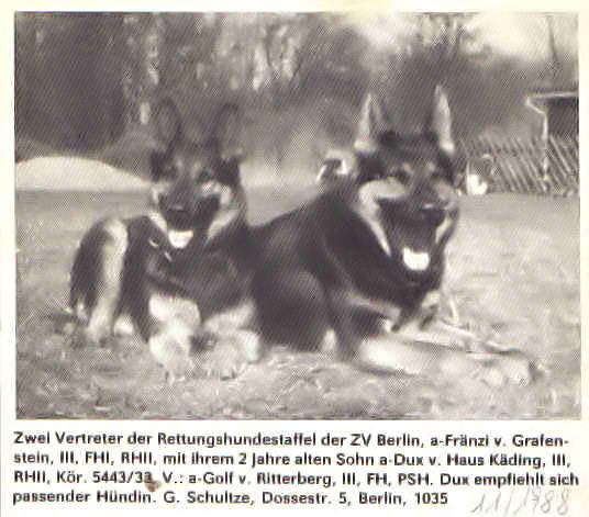 DDR East German — Who What Where Am I 3