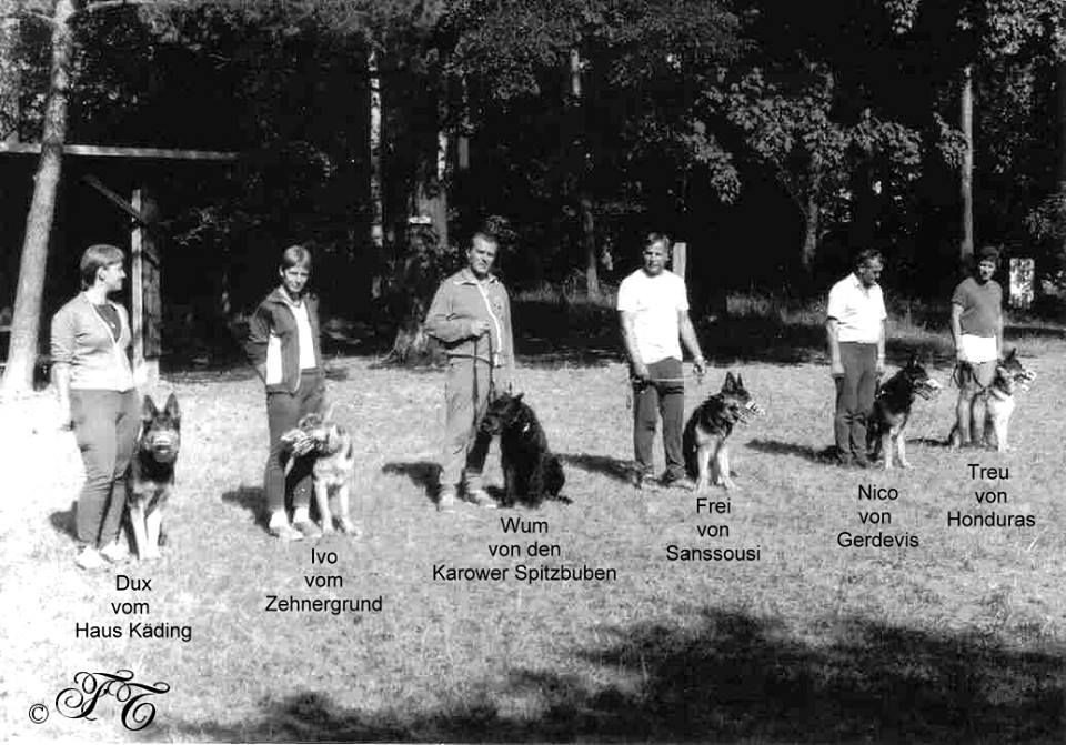 DDR East German — Who What Where Am I 4