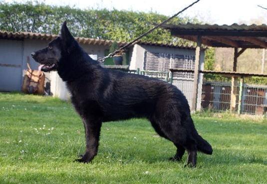 DDR East German — Who What Where Am I 5