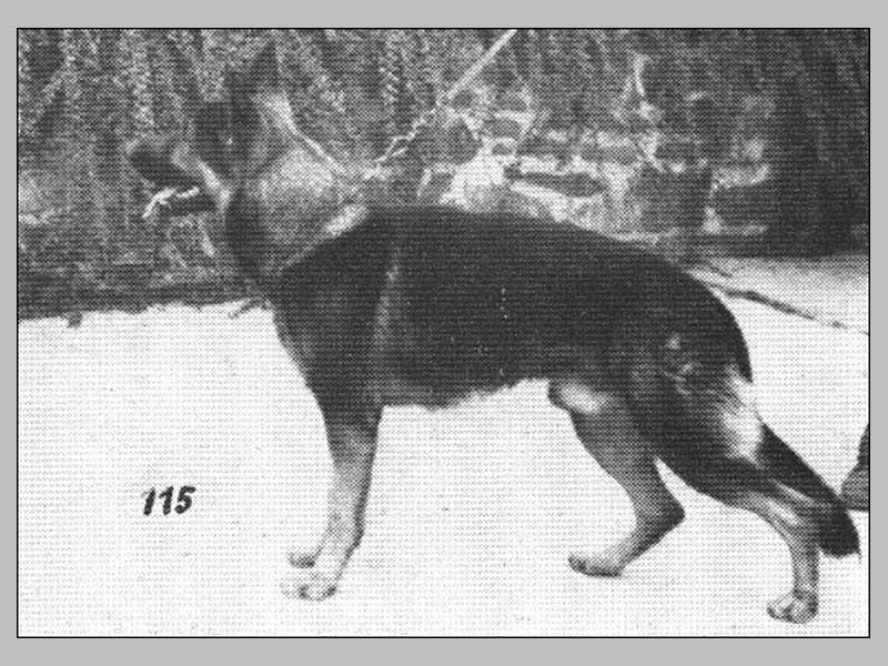 DDR East German — Who What Where Am I 7