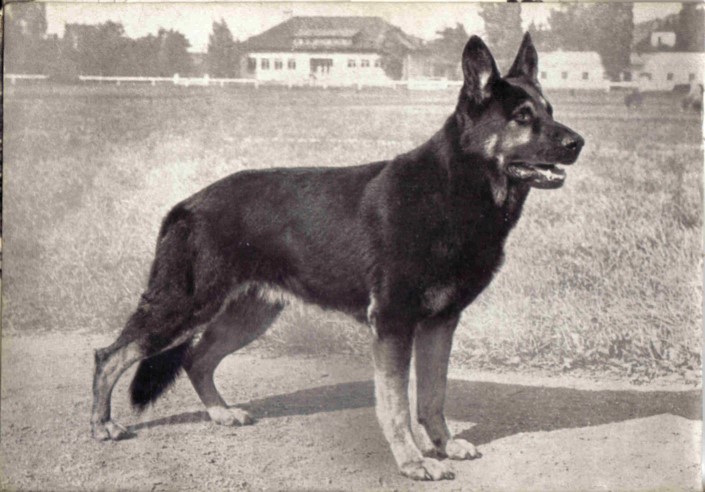 DDR East German — Who What Where Am I 12