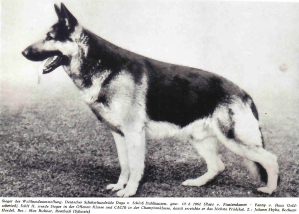 DDR East German — Who What Where Am I 14