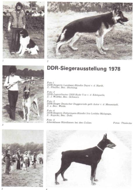 DDR East German — Who What Where Am I 16