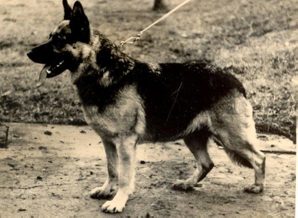 DDR East German — Who What Where Am I 17