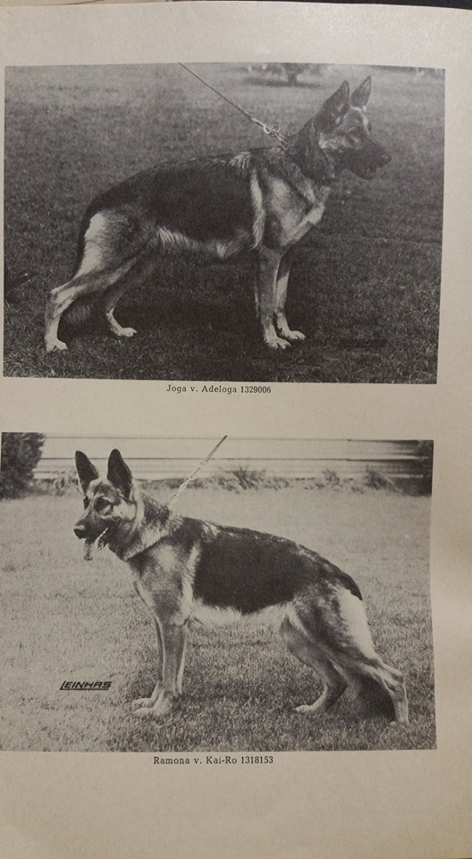 DDR East German — Who What Where Am I 21