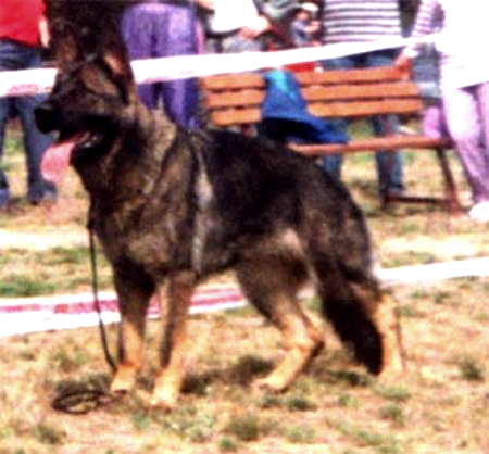 1VOlitavomSiegesberg