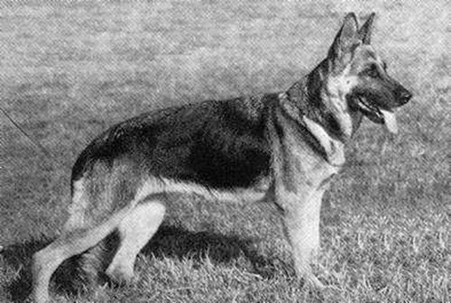 DDR East German — Who What Where Am I 36