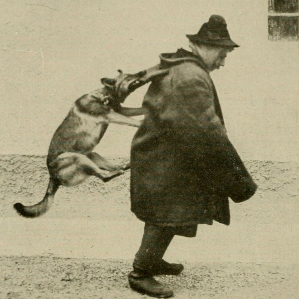 DDR East German — Who What Where Am I 47