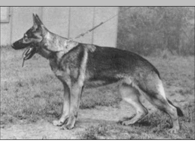 DDR East German — Who What Where Am I 55