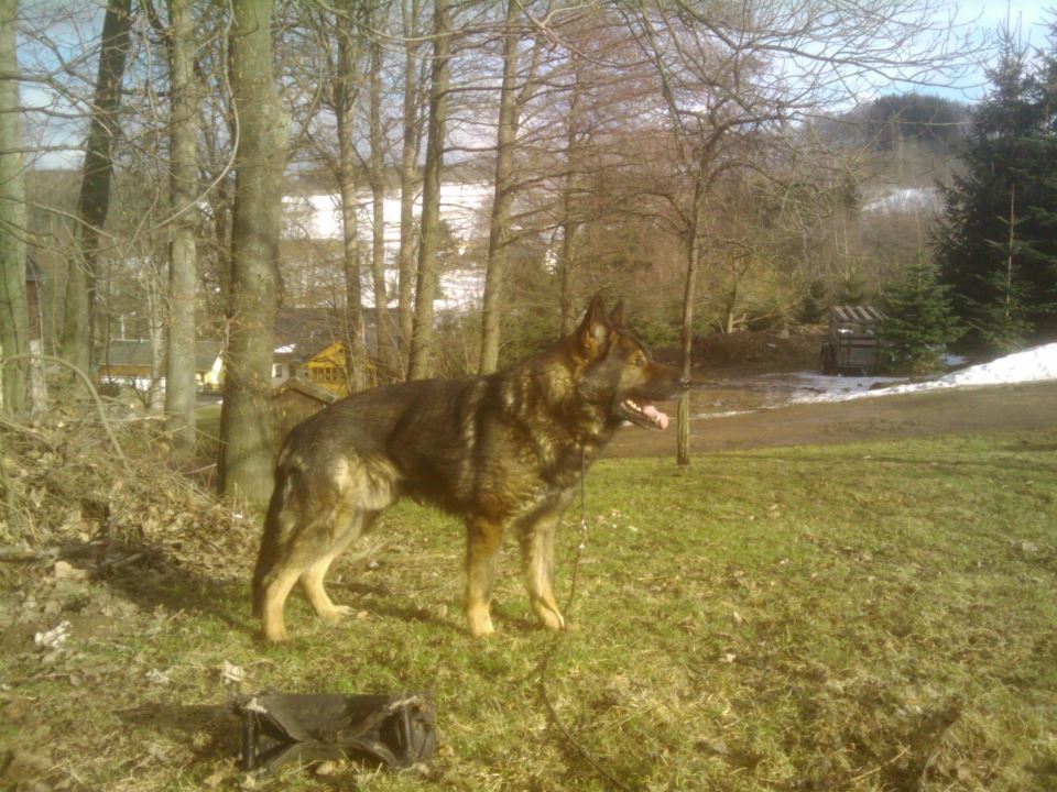 DDR East German — Who What Where Am I 56