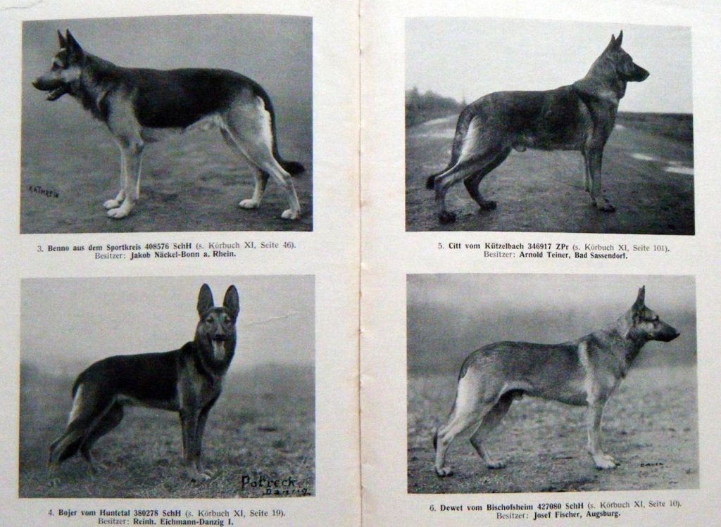 DDR East German — Who What Where Am I 60