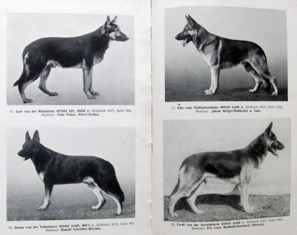 DDR East German — Who What Where Am I 64