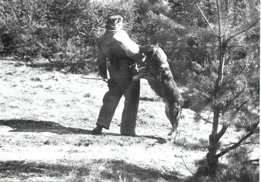 DDR East German — Who What Where Am I 65