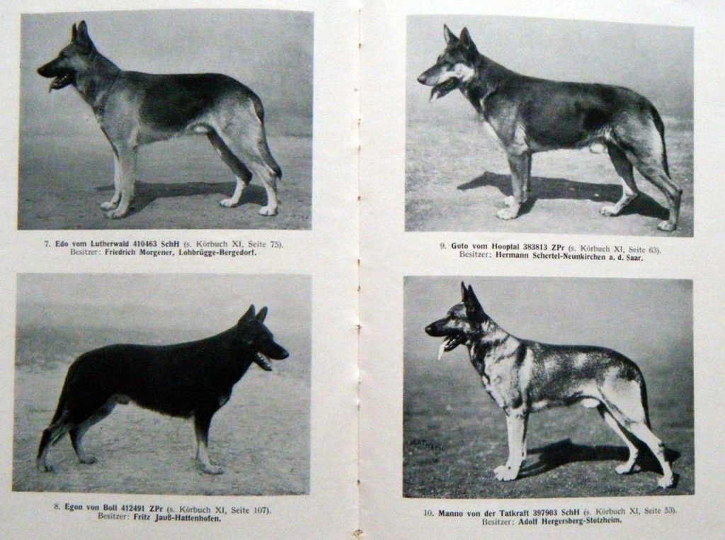 DDR East German — Who What Where Am I 68