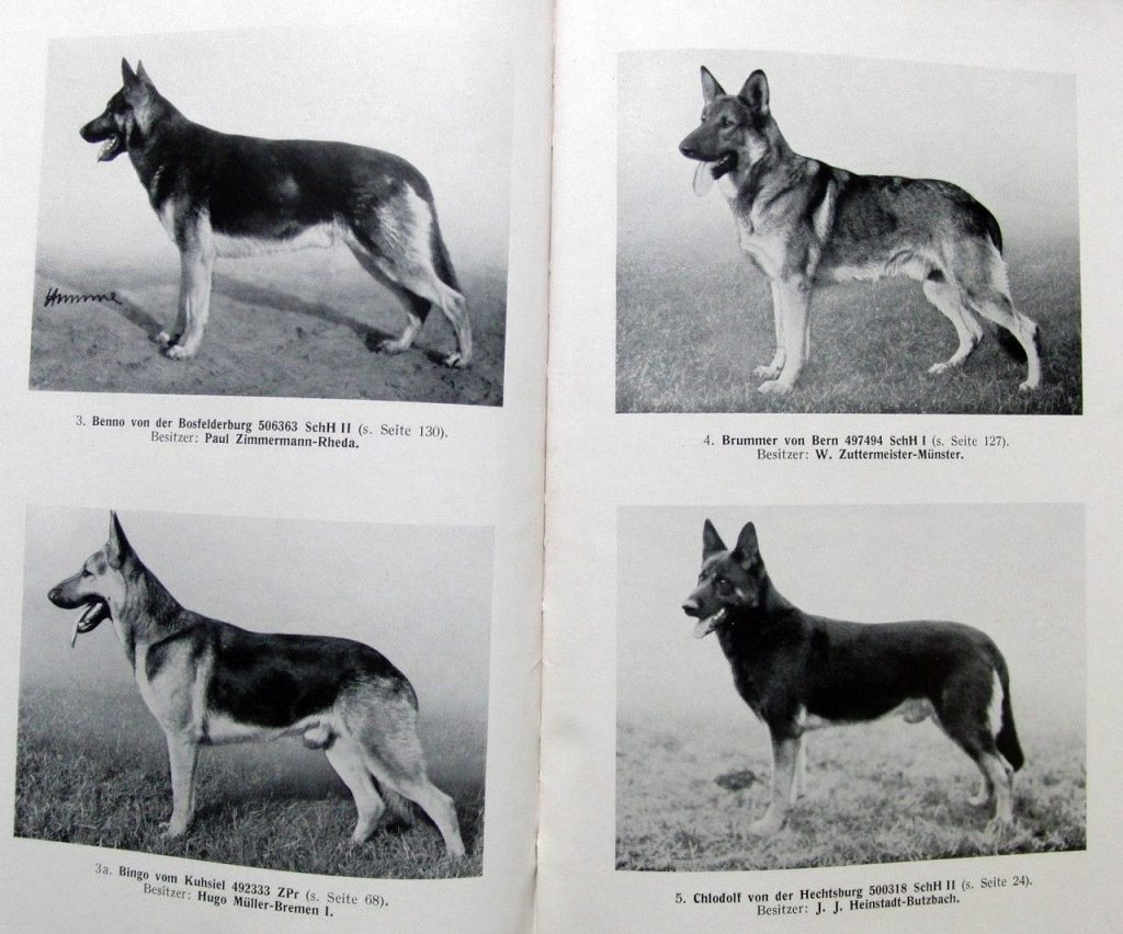 DDR East German — Who What Where Am I 69