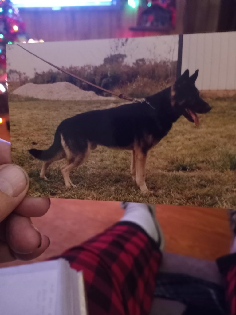 Clod Vom Schollendobel